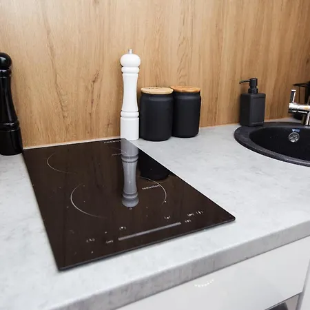 Apartament In Stil Industrial Centru *