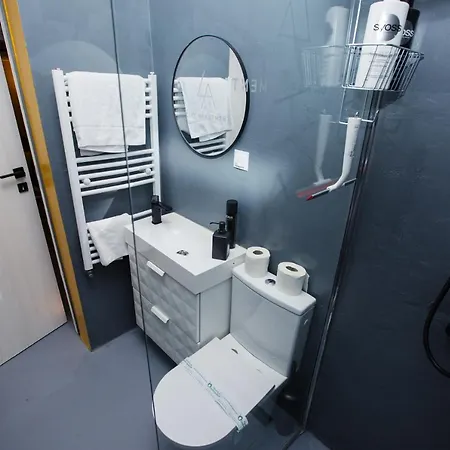 Apartament In Stil Industrial Centru * Kaloşvar